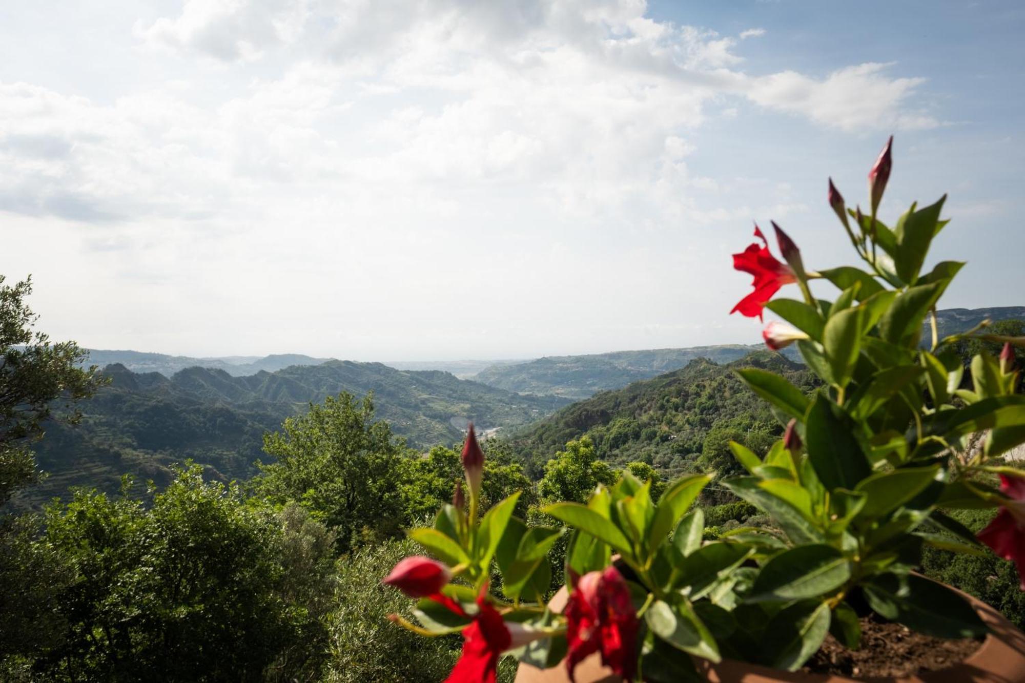 Locanda Degli Ulivi 호텔 Mammola 외부 사진